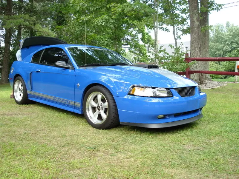 Mustangconn.007.webp