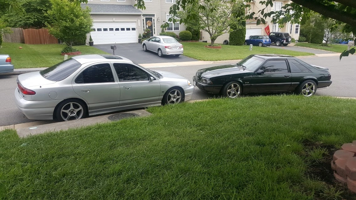 mustangcontour.webp