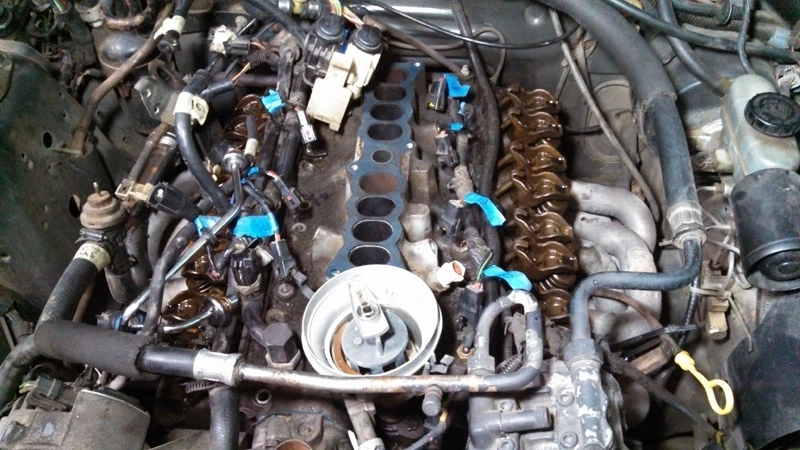 MustangCoversOff.webp