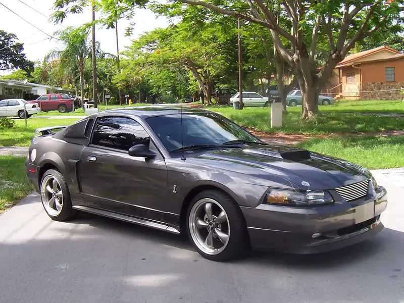 mustangcpillar.webp