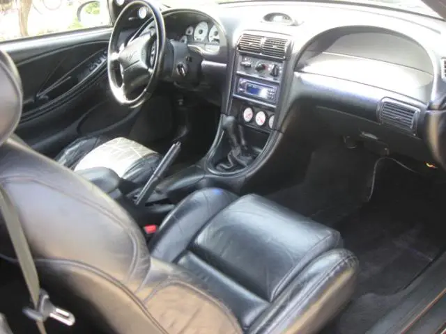 MustangDetail027.webp