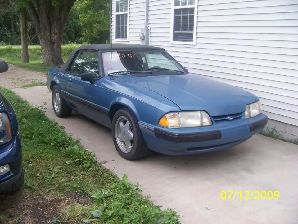 mustangdonor.webp