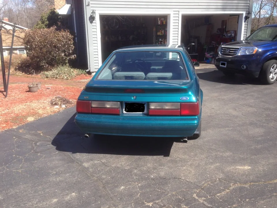 Mustange rear view.webp