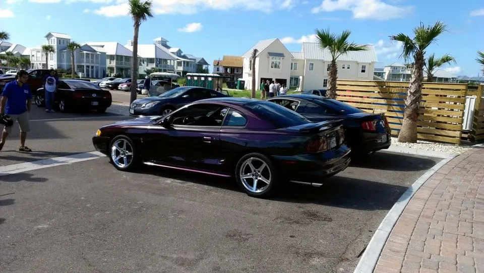mustangfest2012.webp