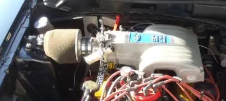 mustangfilter4.webp