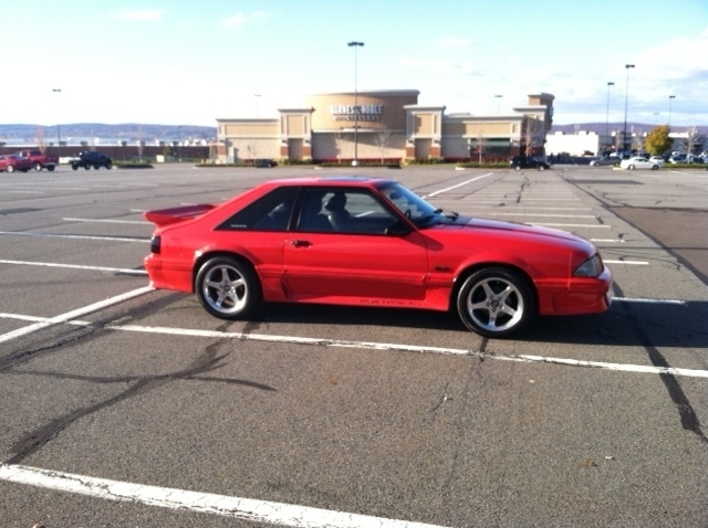 mustangfinished.webp
