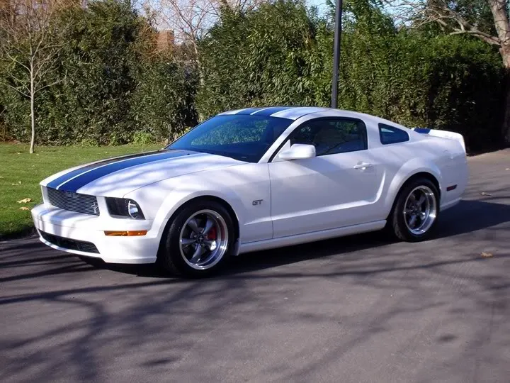 mustangfinished001.webp