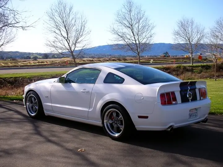 mustangfinished006.webp