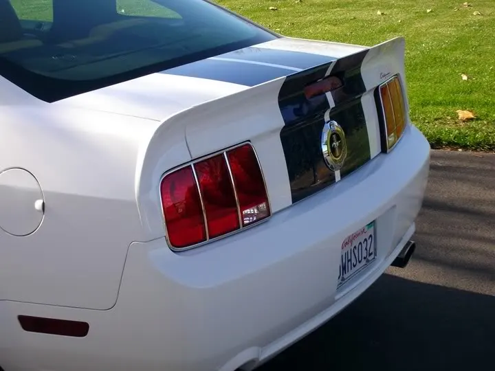 mustangfinished016.webp