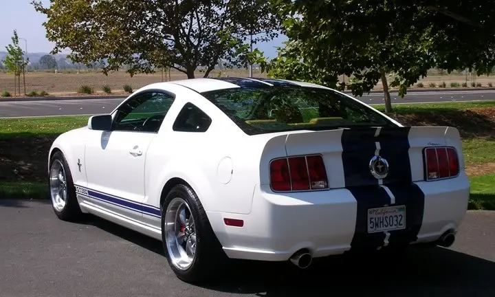 MustangFinishedBody006.webp