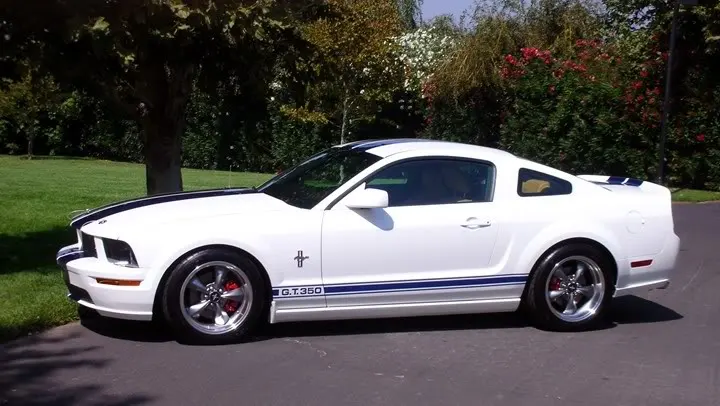 MustangFinishedBody016.webp