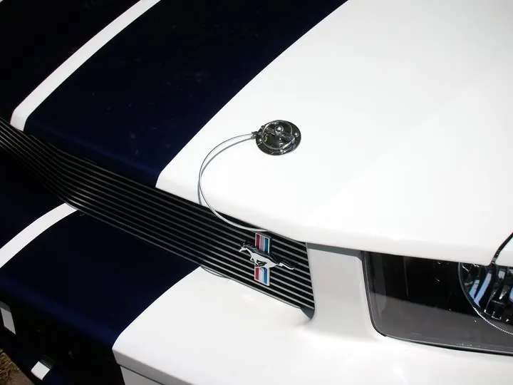 MustangFinishedBody021.webp