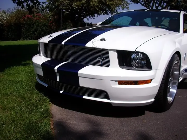 MustangFinishedBody023.webp