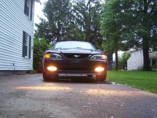 MustangFogs2002.webp