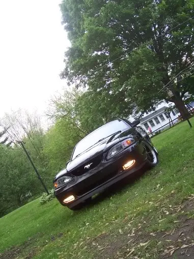 MustangFogs23001.webp