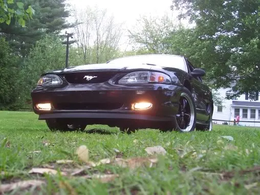 MustangFogs23005.webp