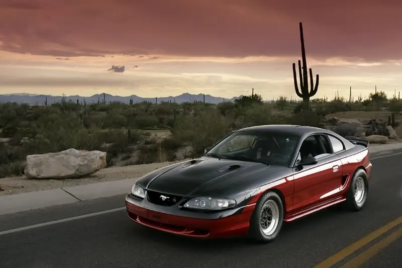 Mustangforsale.webp