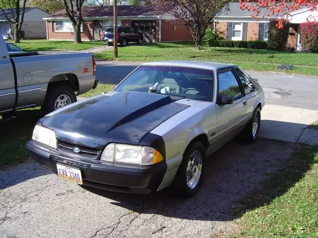 mustangfront.webp