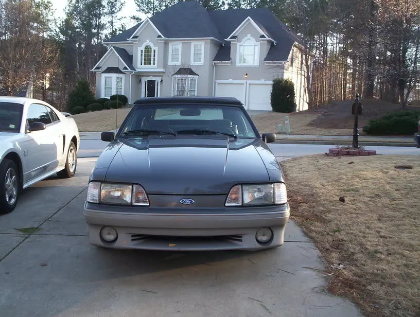 mustangfront.webp