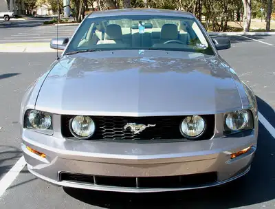 MustangFront.webp