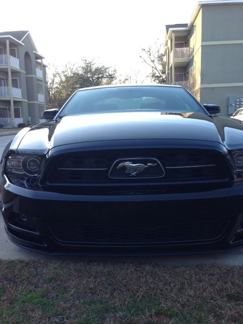 mustangfront.webp