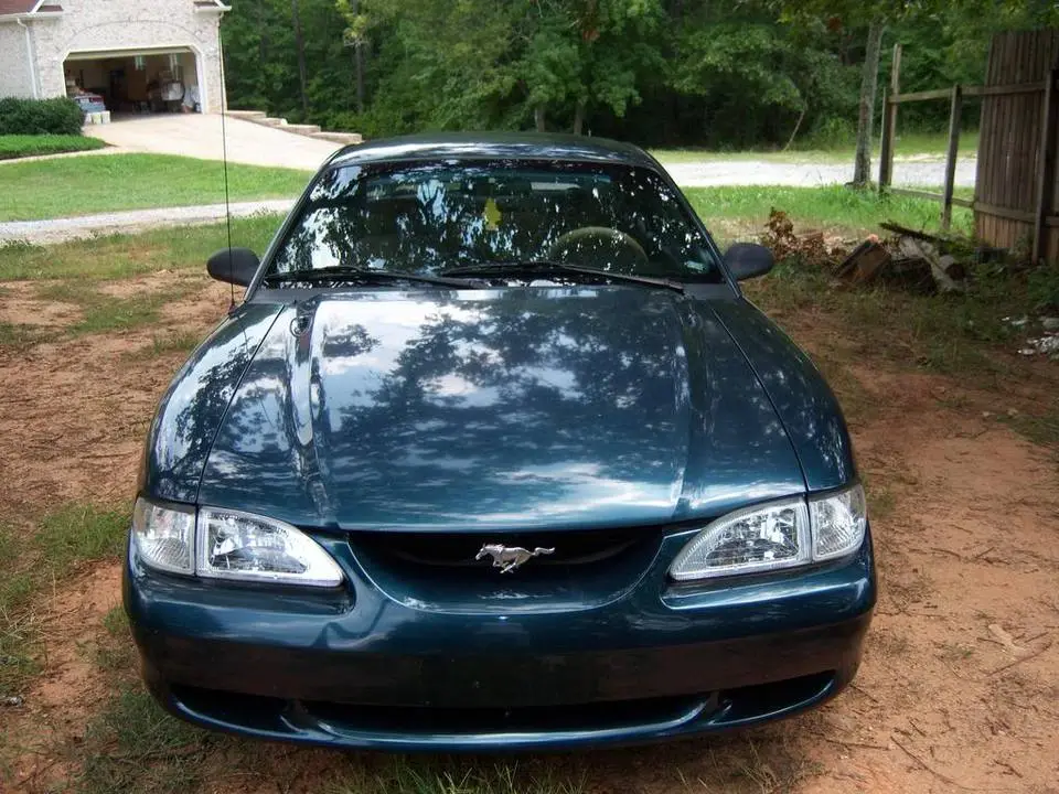 mustangfront1.webp