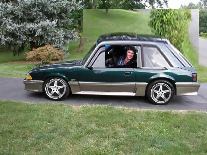 Mustangfunny.webp