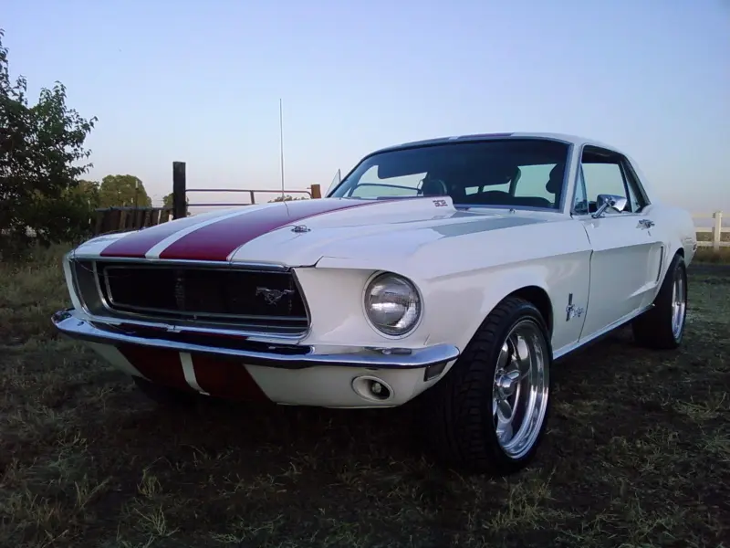 mustangg.webp