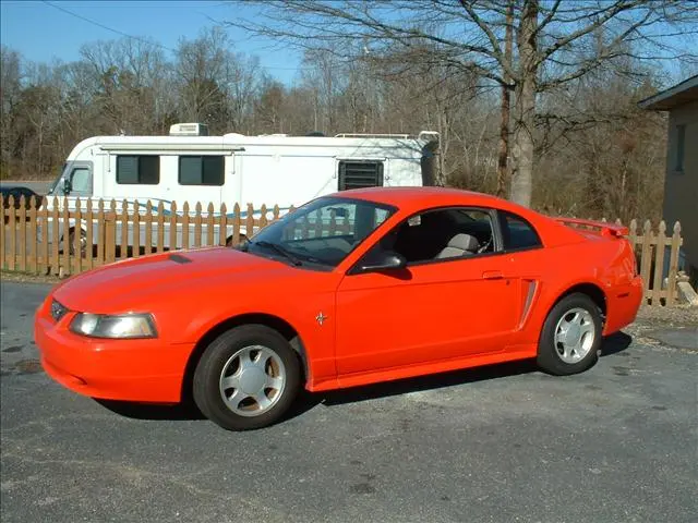 mustangg.webp