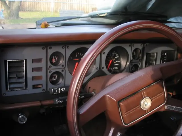 mustanggaugecover003.webp