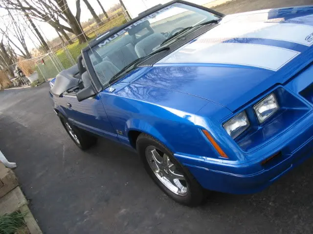 mustanggaugecover009.webp