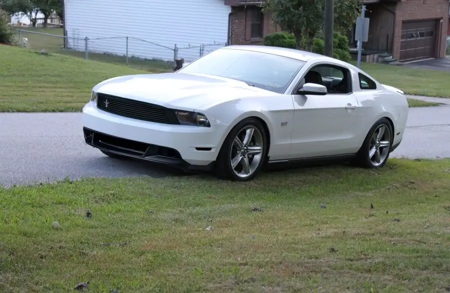 mustanggrilllip.webp