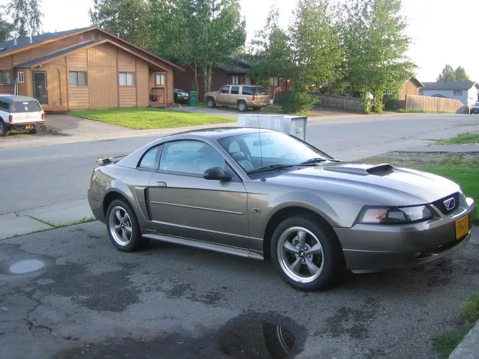 MustangGT2.webp