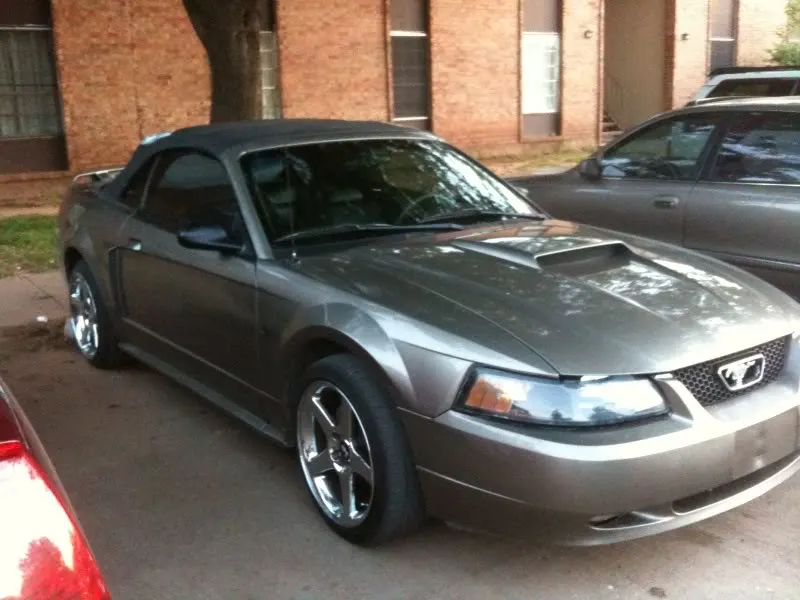 Mustanggtfrontpassengerside.webp