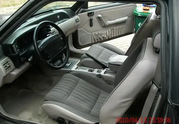 mustangint1.webp