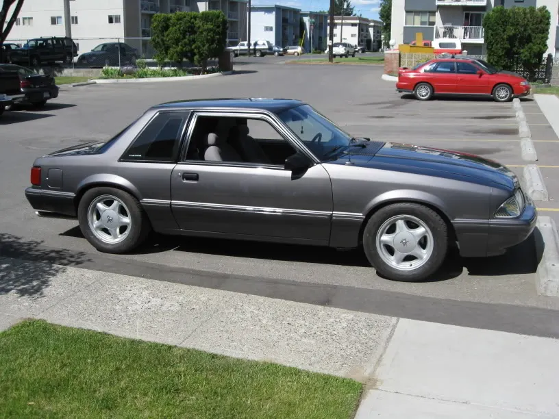 MustangJuly11th2008006.webp