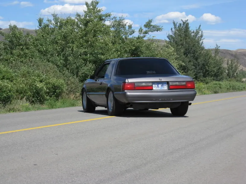 MustangJuly122008003.webp