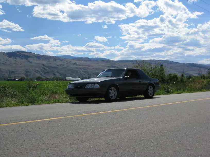 MustangJuly122008006.webp