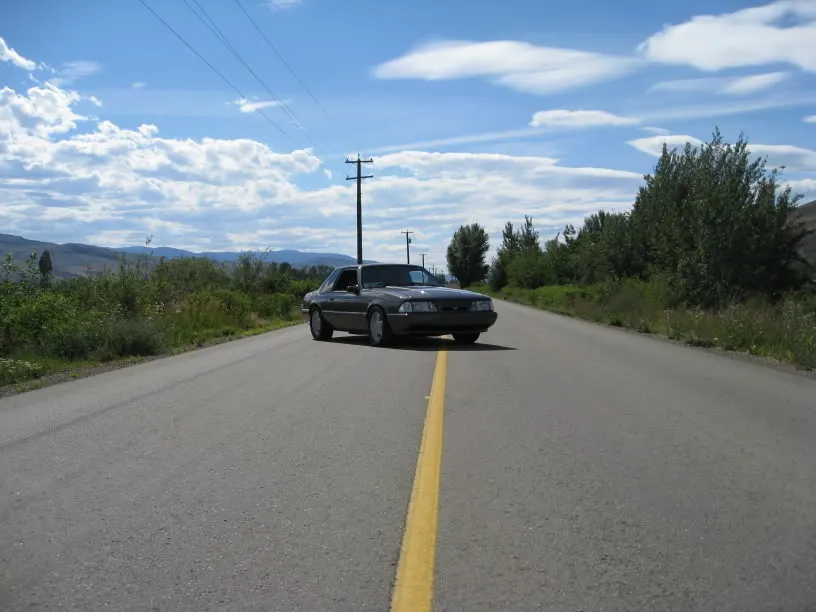 MustangJuly122008013.webp