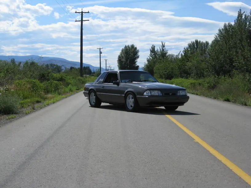 MustangJuly122008016.webp