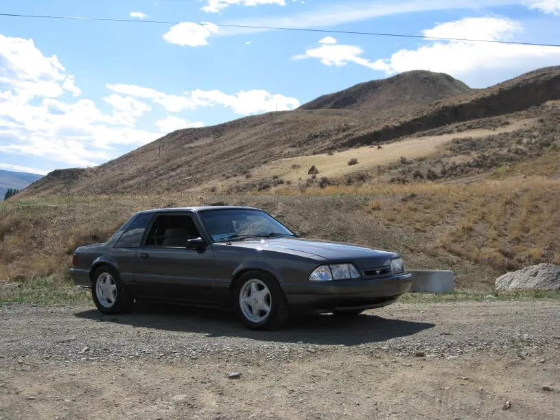 MustangJuly122008022.webp