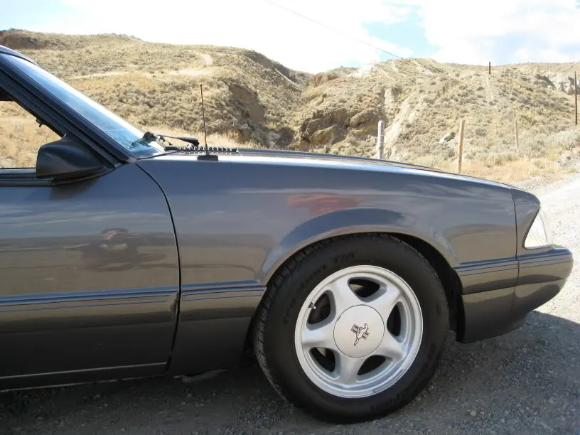 MustangJuly122008024.webp