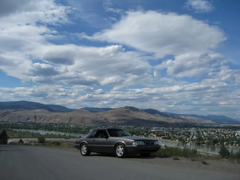 MustangJuly122008028.webp