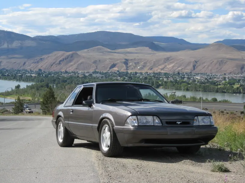 MustangJuly122008030.webp