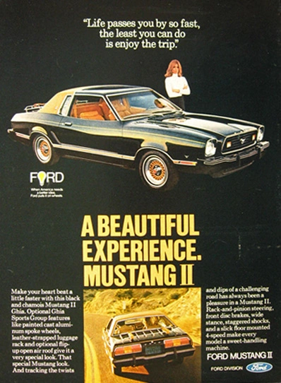 mustanglife.webp