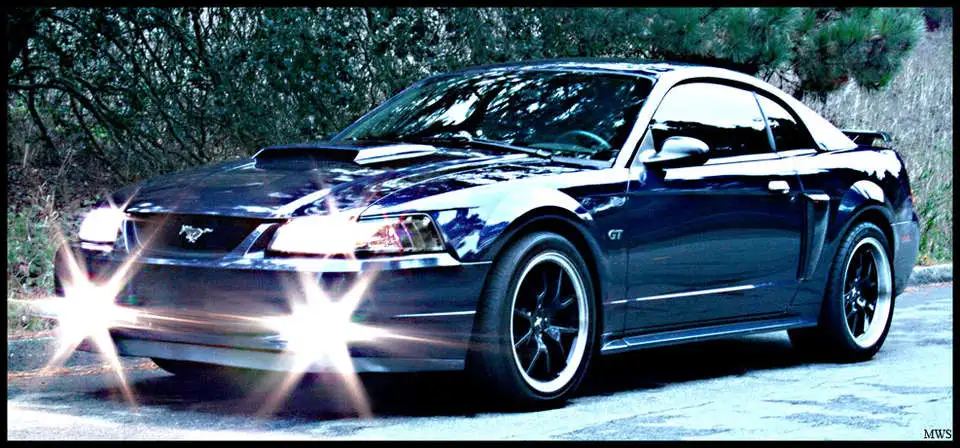 Mustanglightscopy.webp