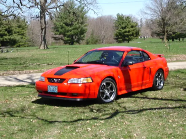 Mustanglodge001.webp