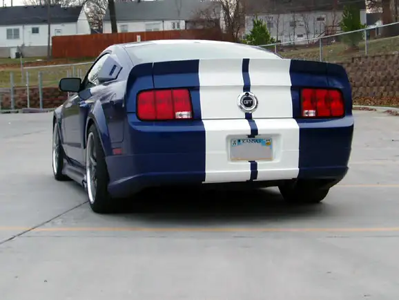 mustanglowes11web-1.webp