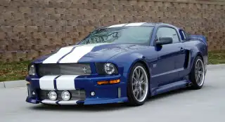 mustanglowes12web.webp