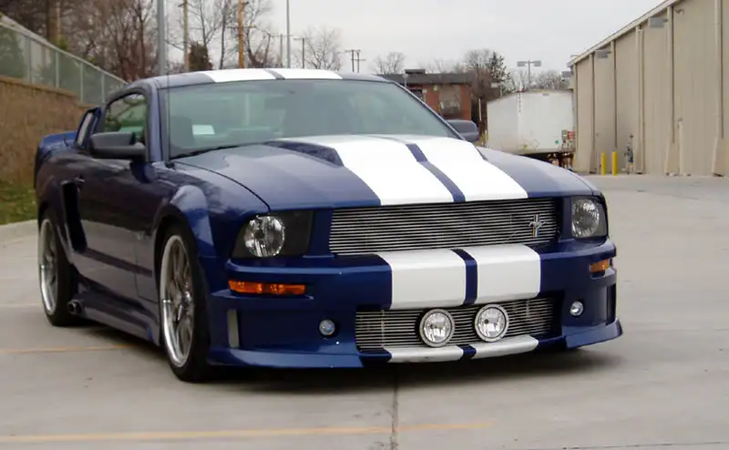 mustanglowes9web.webp